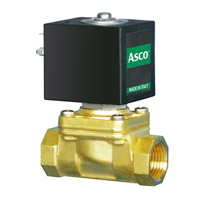 Asco-P-L153