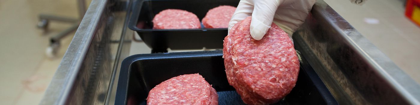 エマソンは、肉、魚、鳥の生産用に幅広いコンポーネントのポートフォリオを提供しています。